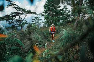 BIB: 
                            <button type="button" onclick="openModal(25259222)" class="btn btn-primary btn-sm float-right btn-popup" data-toggle="modal" data-target=".modal-high-quality">
                        <i class="fas fa-shopping-cart"></i> Add to Cart
                    </button>
                                            <button type="button" onclick="isThisMe(25259222, true)" class="btn btn-success btn-sm float-right btn-popup btn-isme hidden" data-toggle="tooltip" data-placement="bottom" title="นี่คือรูปของคุณใช่ไหม คลิกที่นี่เพื่อเอาเข้าอัลบั้ม">
                        <i class="fas fa-plus"></i> Add to album
                    </button>
                    <button type="button" onclick="isThisMe(25259222, false)" class="btn btn-warning btn-sm float-right btn-popup btn-isnotme hidden">
                        <i class="fas fa-ban"></i> Remove from album
                    </button>